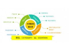 软件技术研发与推广服务赋能区域发展 以惠州新闻网与锡林郭勒亿凌云为例
